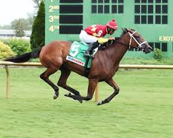 Resultado de imagen para sliced horse