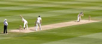 Image result for High Easter Cricket Club