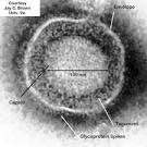 Dr. Edward K. Wagner's Herpes Virus Research