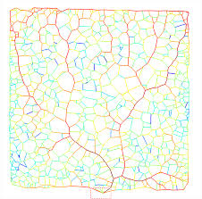 Attēlu rezultāti vaicājumam “Physarum contextum macro”
