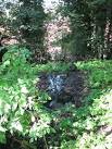 Kett's Heights - former drinking pond. Kett's Heights is one of the hidden - via Daymix