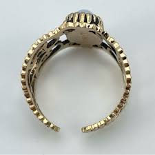 Image result for Coventry Dragons