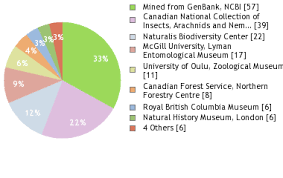 Attēlu rezultāti vaicājumam “Hypocaccus rugiceps”