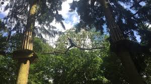 Image result for Go Ape! Thetford