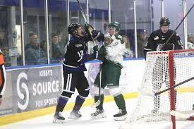 Image result for Pontypool Skater Hockey Club