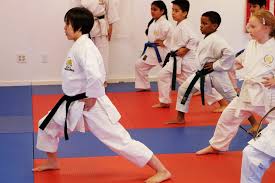 Image result for Redhill Karate Association