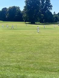 Image result for St Cross Symondians Cricket Club