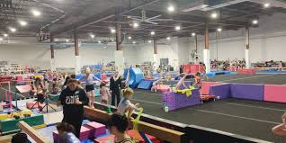 Image result for Esprit Gymnastics Club