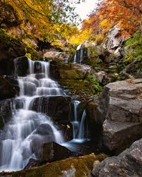 Image result for cascate del dardagna