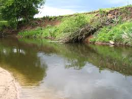 Image result for Bay Malton Angling Club