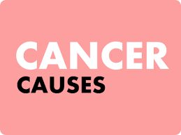 Image result for  g   c O ~