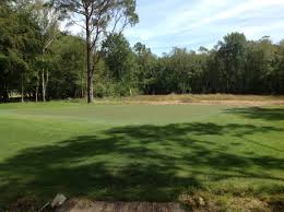Image result for Brokenhurst Manor Golf Club