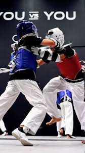 Image result for Hed Tkd (Dorking Tae Kwon-Do)