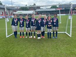 Image result for Alderbury Football Club