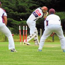 Image result for Wath Cc