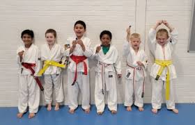 Image result for Windsor Higashi Karate Club