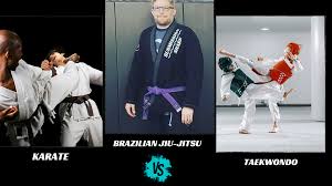 Image result for Tae-jitsu