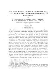 Attēlu rezultāti vaicājumam “Larus ridibundus eggs”