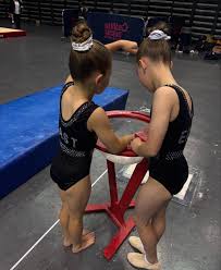 Image result for Harlequins Gymnastics Club