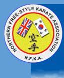 Image result for Northern Freestyle Karate Association