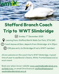 Image result for England Staffordshire Birding Club