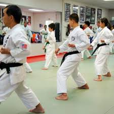 Image result for Dumfries Wado Ryu  Karate club