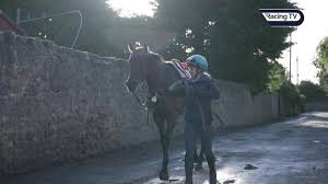 Image result for Ayr Riding Club