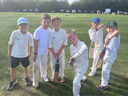 Image result for Waresley Cricket Club