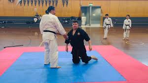 Image result for Levern Tora-Kai Karate Club
