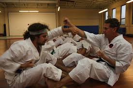 Image result for Zen Shin Seicho Do Adult Karate