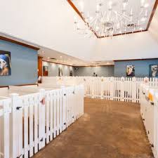 Image result for Barking & District Indoor Bowls