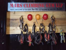 Image result for Deva Handball Club