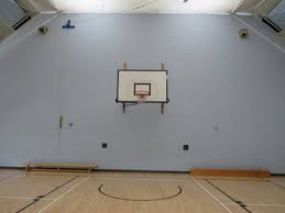 Image result for Hounslow Manor Badminton Club