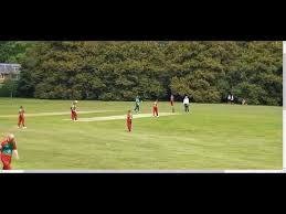 Image result for Welwyn Garden City Cricket Club