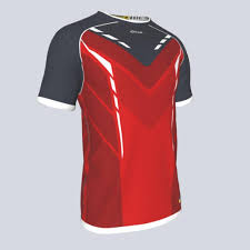 Image result for Cobra Badminton Club