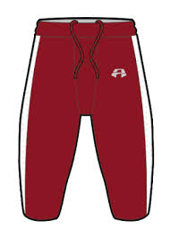 Image result for Staffordshire Stallions