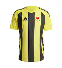 Image result for St Margaretsbury Cricket Club