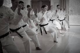 Image result for North Yorkshire Goju Ryu Karate Club