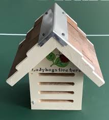 Image result for ladybug house