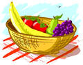 Discovery Online, The Skinny On ... Where Fruit Flies Come From