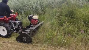 Image result for seppi tehron