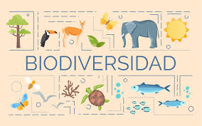 Attēlu rezultāti vaicājumam “Craterium leucocephalum var. scyphoides”