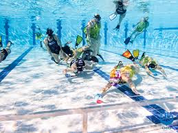 Image result for Caversham Underwater Hockey Club