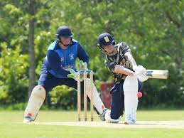 Image result for Hem Heath Cricket Club