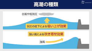 Image result for 高潮 津波 別物