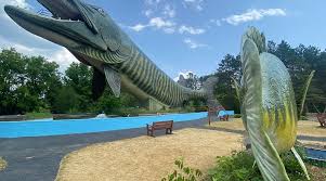 Image result for Penketh & Old Hall Angling Society