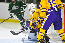 Image result for Kyle Figure Skating Club