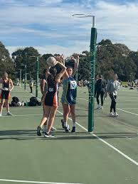 Image result for Wombles Netball Club