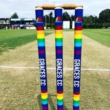 Image result for Podington Cricket Club