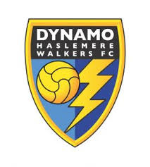 Image result for Haslemere Border Athletic Club